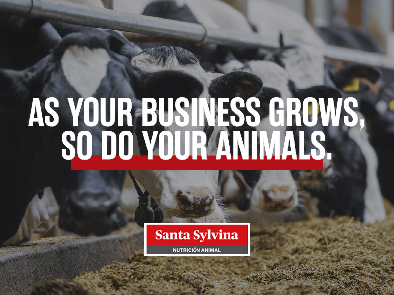 Santa Sylvina