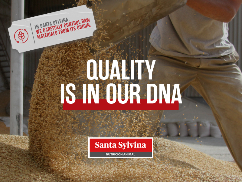 Santa Sylvina